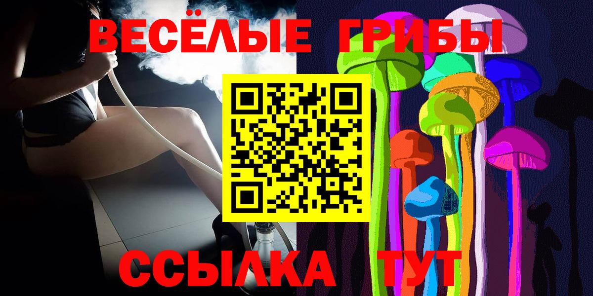 Галлюциногенные грибы мицелий  сколько стоит  Жуковский  Псилоцибиновые грибы ЛСД 