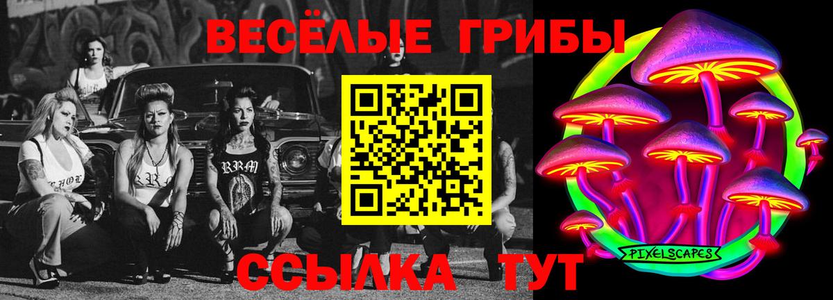 Галлюциногенные грибы прущие грибы  Псилоцибиновые грибы Cubensis  Жуковский  Вход с VPN 
