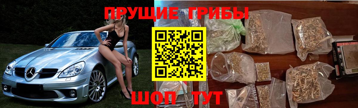 Галлюциногенные грибы мухоморы Жуковский