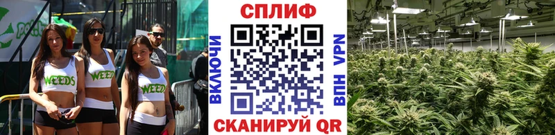 Канабис VHQ  купить закладку  Жуковский 